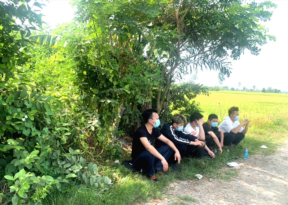 5 người Trung Quốc nhập cảnh trái phép từ Lạng Sơn được phát  hiện tại cánh đồng thuộc huyện Châu Phú, tỉnh An Giang. Ảnh: Nghiêm Túc