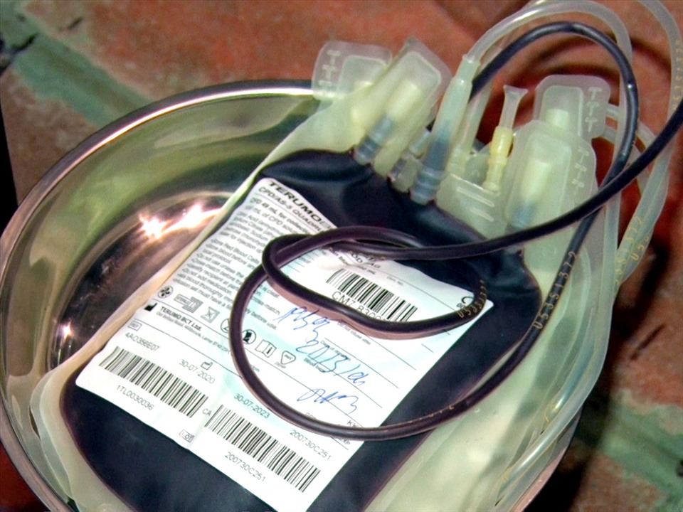 Ban tổ chức đã thu được 141 đơn vị máu.