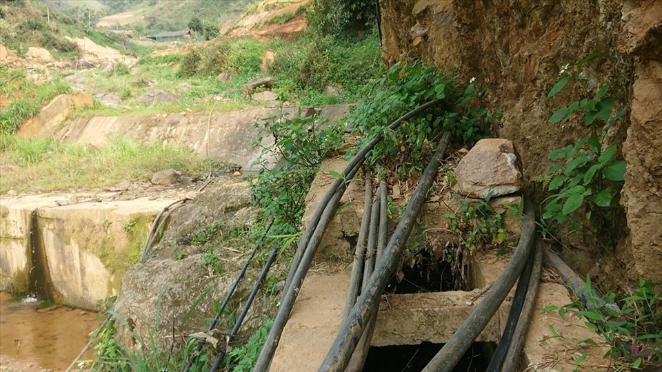 Những đường ống nước bắt từ trong núi về như mạng nhện giữa rừng.