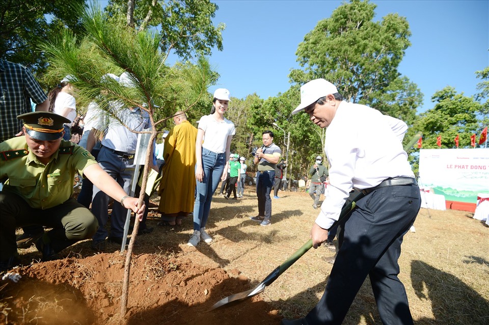 Trong 5 năm qua, tỉnh Gia Lai đã đầu tư trồng mới được hơn 25 nghìn ha rừng và cây phân tán.