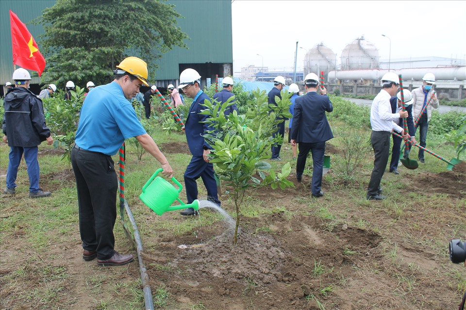 350 cây ăn quả được trồng quanh khu vực hồ điều hòa Công ty DAP-Vinachem. Ảnh Mai Dung