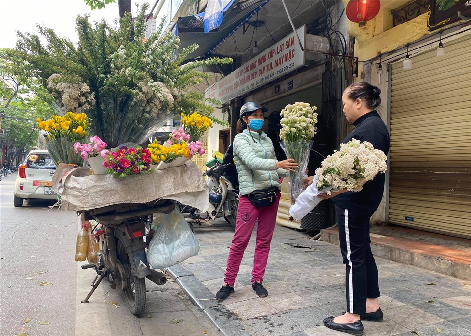 Với vẻ đẹp giản dị, thanh tao, độ bền lâu, giá lại phải chăng nên nhiều người dân Hà Nội đang tìm mua tiểu tú cầu và hoa gạo sữa về nhà trang trí.
