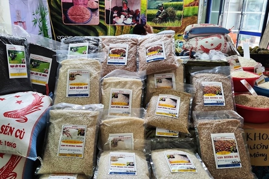 Giá gạo xuất khẩu của Việt Nam đã chạm mốc 522 USD/tấn, là mức giá cao nhất trong 10 năm gần đây. Ảnh: Vũ Long