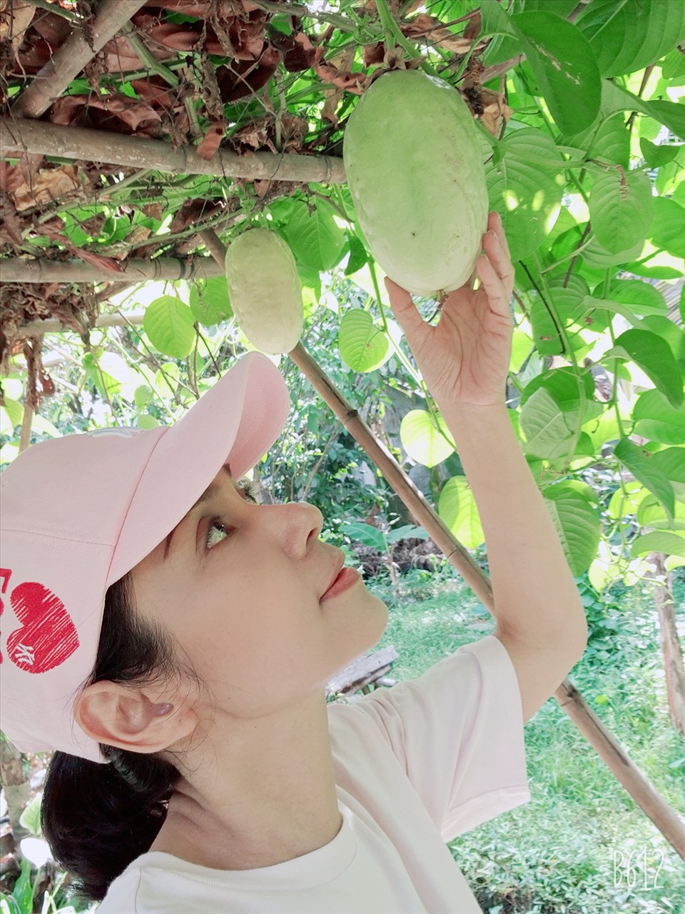 Hiện tại, Việt Trinh sống tại Bình Dương trong căn nhà vườn với tông trắng chủ đạo. Ngoài ra, cô còn có khu vườn rộng lớn, trồng nhiều cây ăn trái.