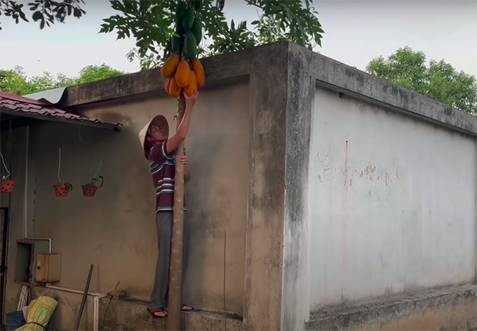 Cuộc sống giản dị của NSƯT Hoài Linh khiến không ít khán giả thích thú và mến mộ. Nhiều người cho rằng chính vì sự gần gũi của nam nghệ sĩ khiến họ yêu mến hơn.