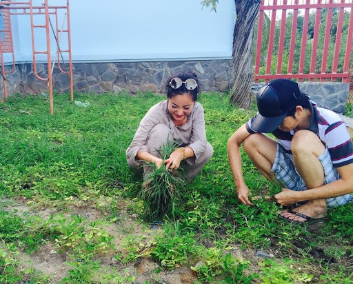 Trong khuôn viên nhà thờ Tổ của danh hài Hoài Linh là nhiều cây mai giúp làm đẹp không gian. Nam diễn viên tiết lộ: 'Sáng chuẩn bị đi diễn lại ra nhìn cây mai một chút rồi đi làm. Tối về thì tôi nắm cây mai rung, mùng 1 thì không dám, mùng 2 bắt đầu rung, để cái nào nở rồi thì lặt cái đài hoa, để những nụ kia có chỗ bung ra. Sở thích của tôi chỉ nhiêu thôi'.