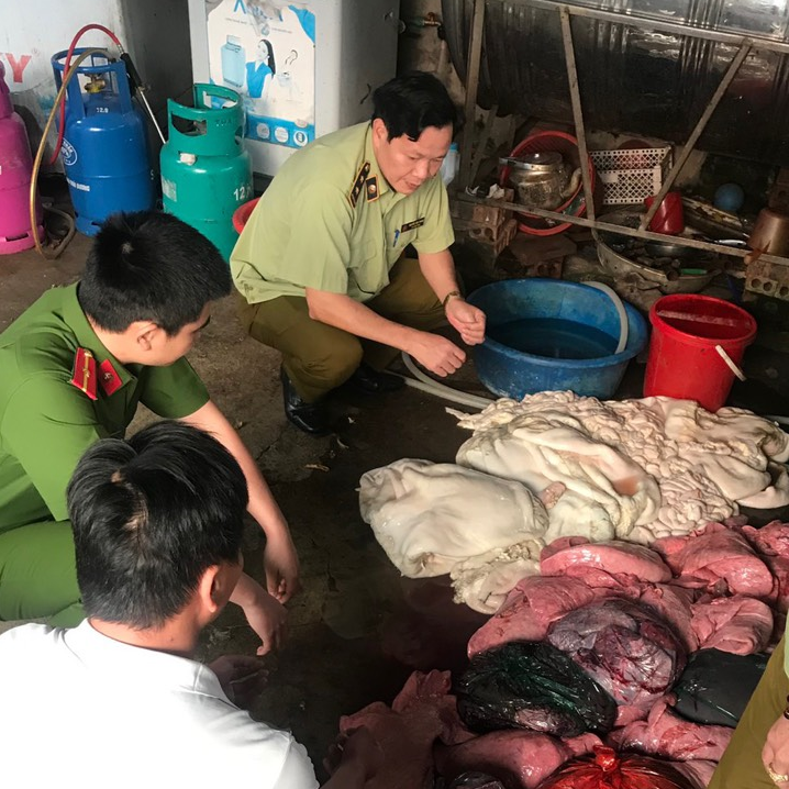 Cục QLTT Lai Châu phát hiện 220 kg nội tạng trâu, bò bốc mùi hôi thối. Ảnh: DMS