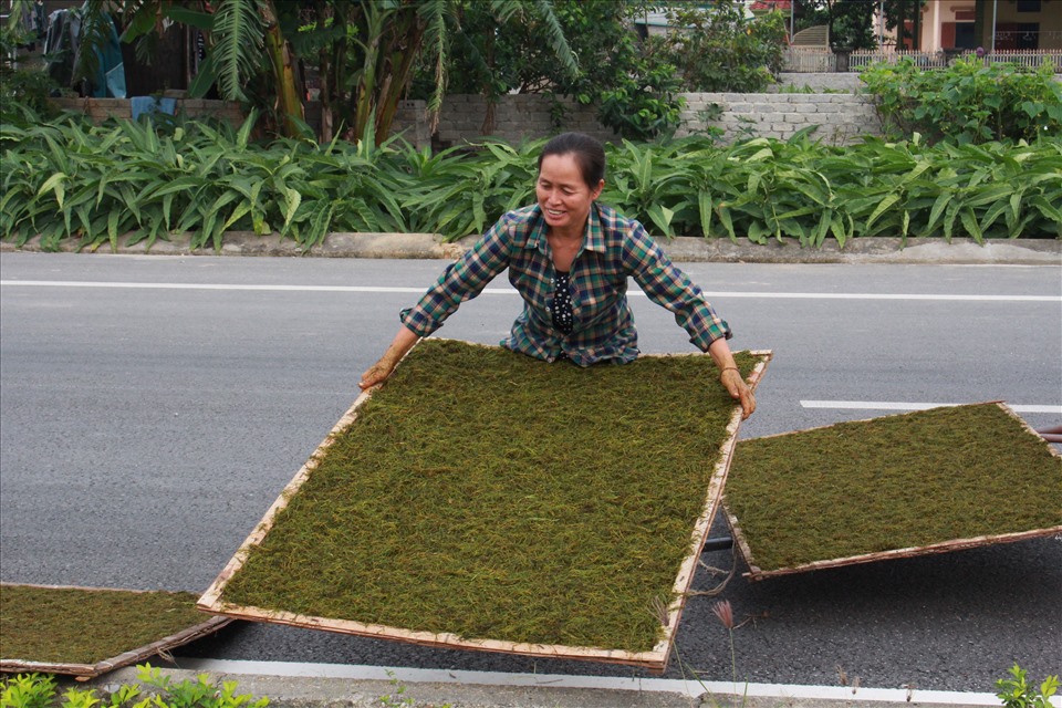 Sau khi cắt nhỏ thành sợi, thuốc lào được phơi dưới trời nắng. Ảnh: L.A