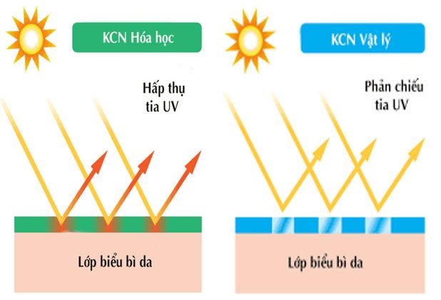 Hình minh họa cho cơ chế hoạt động của kem chống nắng hóa học và kem chống nắng vật lí (Đồ họa: Nguyễn Quyền)