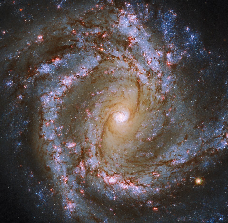 Ảnh chụp thiên hà M61 của kính thiên văn Hubble. Ảnh: ESA/Hubble/NASA