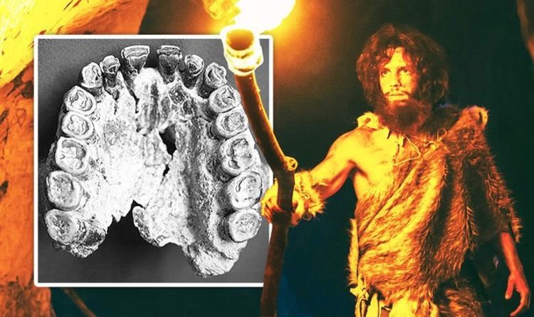 Phát hiện khảo cổ về người Neanderthal có thể giải đáp thắc mắc vì sao có người thuận tay trái. Ảnh chụp màn hình PBS