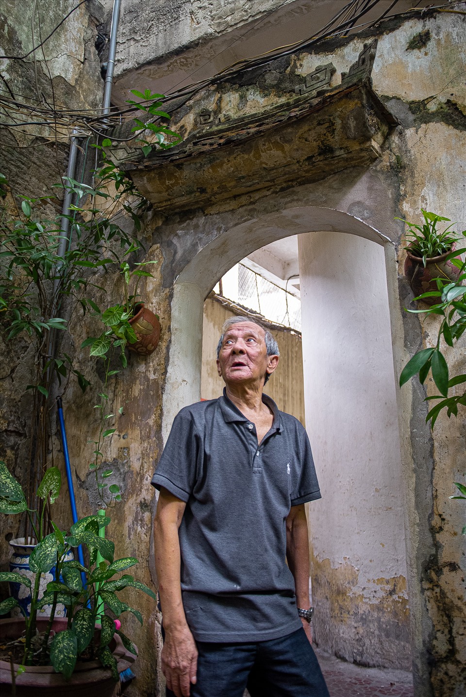 Tiếp đón chúng tôi là ông Phạm Ngọc Hải (74 tuổi) - con trai út của vợ chồng cụ Phạm Văn Thanh - Phạm Thị Tề. Ông Hải cho biết, sau nhiều lần vật đổi sao dời, khu nhà vườn tổng diện tích gần 600m2 nay chỉ còn gần 300m2.