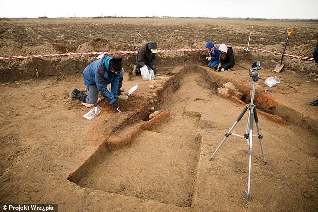 Địa điểm khai quật tại một ngôi làng ở thành phố Kakrow. Ảnh: Dự án Khảo cổ Kakrow