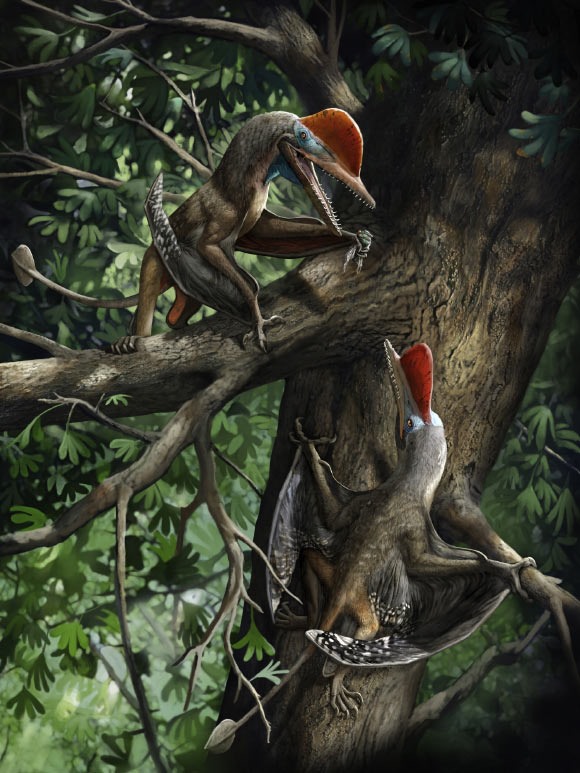Tái tạo cuộc sống của dực long Kunpengopterus antipollicatus trong rừng cổ sinh Tiaojishan. Ảnh: