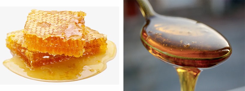 Mật ong là thực phẩm hỗ trợ điều trị ho hiệu quả.