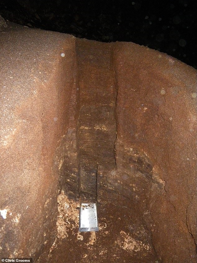 Bên trong hang động ở Jamaica, nơi phát hiện gò phân dơi từ 4.800 năm trước. Ảnh: the American Geophysical Union