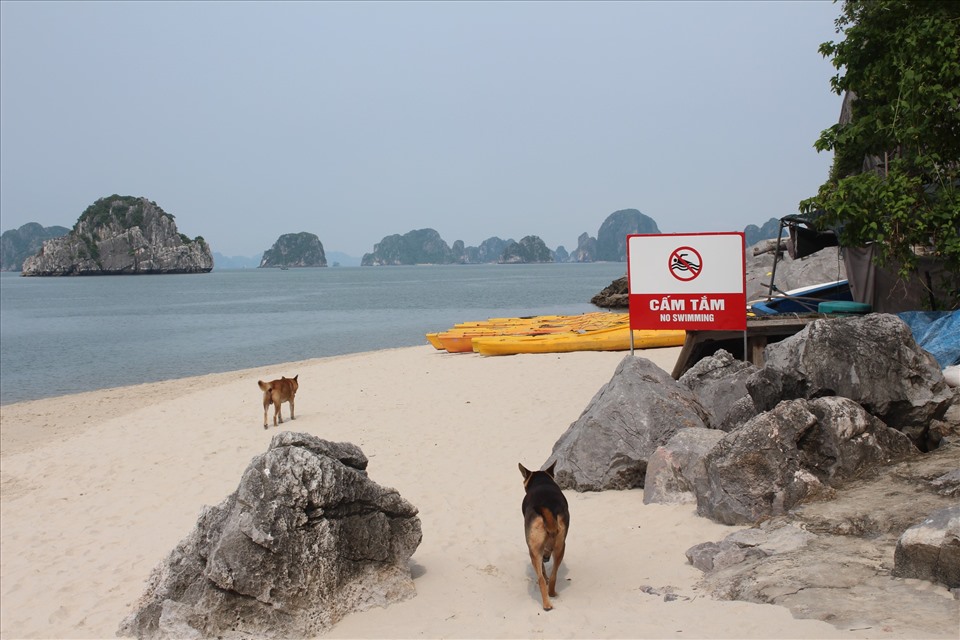 Bãi biển Thiên Cảnh Sơn cũng có biển “cấm tắm“. Ảnh: Nguyễn Hùng