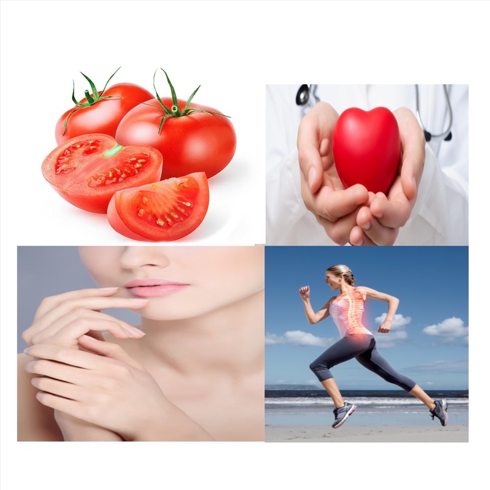 Ảnh minh hoạ một số công dụng của cà chua đối với sức khoẻ của bạn. Đồ hoạ: Ánh Nhiên
