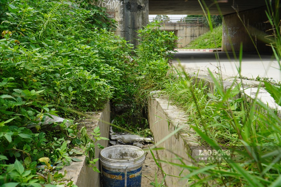 Tại nhiều hầm chui, khu vực đường ống thoát nước đầy cỏ cây, đất đá và cả rác thải. Đây cũng là một trong những nguyên nhân khiến nhiều hầm chui rơi vào tình trạng ngập úng mỗi khi có mưa lớn.