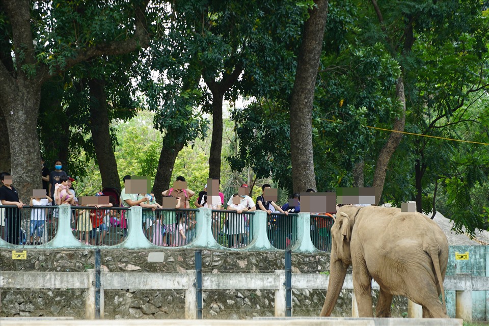 Các chuồng thú luôn thu hút số lượng đông người dân tới tham quan.