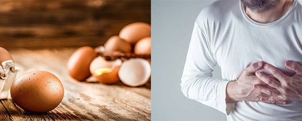 Thực chất, ăn trứng có thể tốt cho sức khoẻ tim mạch. Đồ hoạ: Phương Linh.