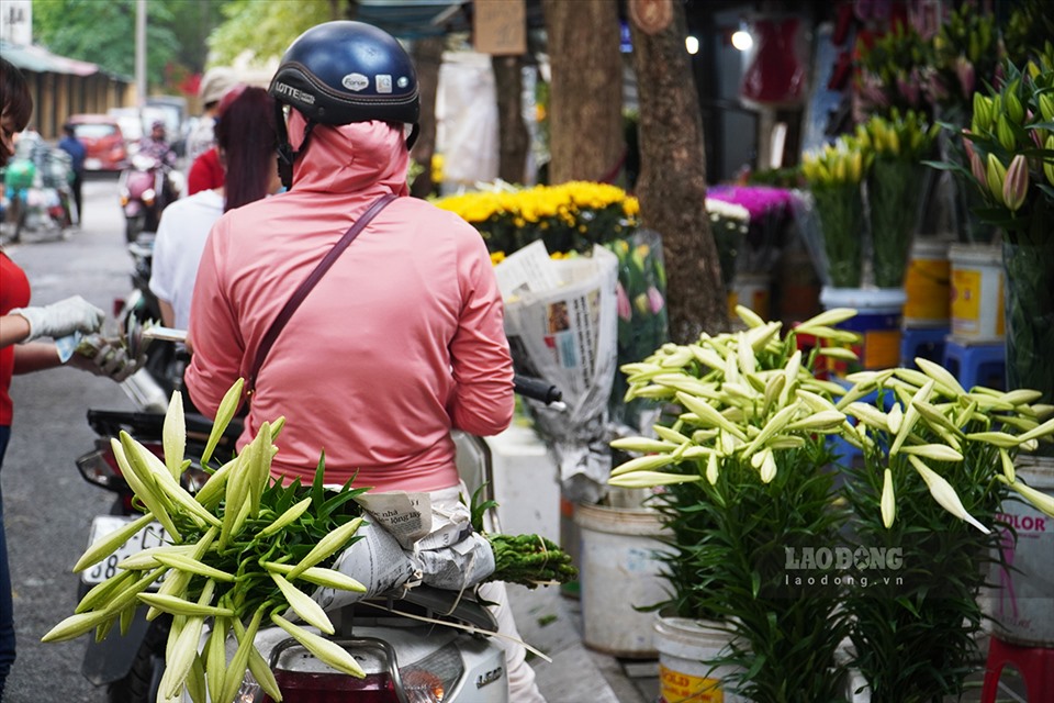 Những chuyến xe chờ đầy sắc hoa loa kèn.