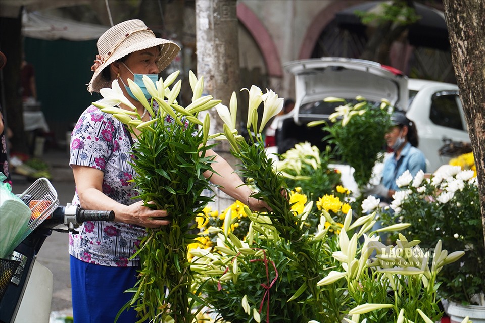 Hoa loa kèn hút khách trên các con phổ nhỏ của Hà Nội.
