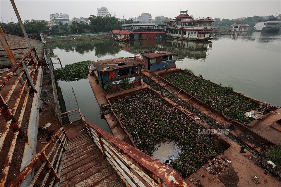 Số du thuyền khoảng hơn chục chiếc đã được di dời về Đầm Bảy, thuộc phường Nhật Tân, Tây Hồ (Hà Nội).
