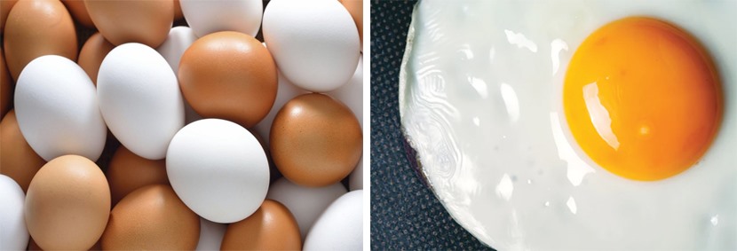 Trứng là thực phẩm quen thuộc được sử dụng hằng ngày. Đồ họa: Hồng Nhật