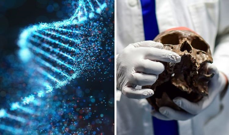 “Cuộc cách mạng ADN cổ đại” giúp viết lại lịch sử loài người. Ảnh: Getty