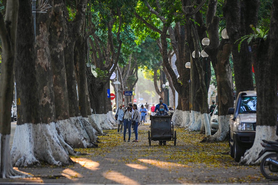 Là khu phố duy nhất tại Hà Nội có 3 hàng cây xanh cổ thụ hai bên đường, phố Phan Đình Phùng giữa cái nắng gay gắt vẫn trở nên mát mẻ.