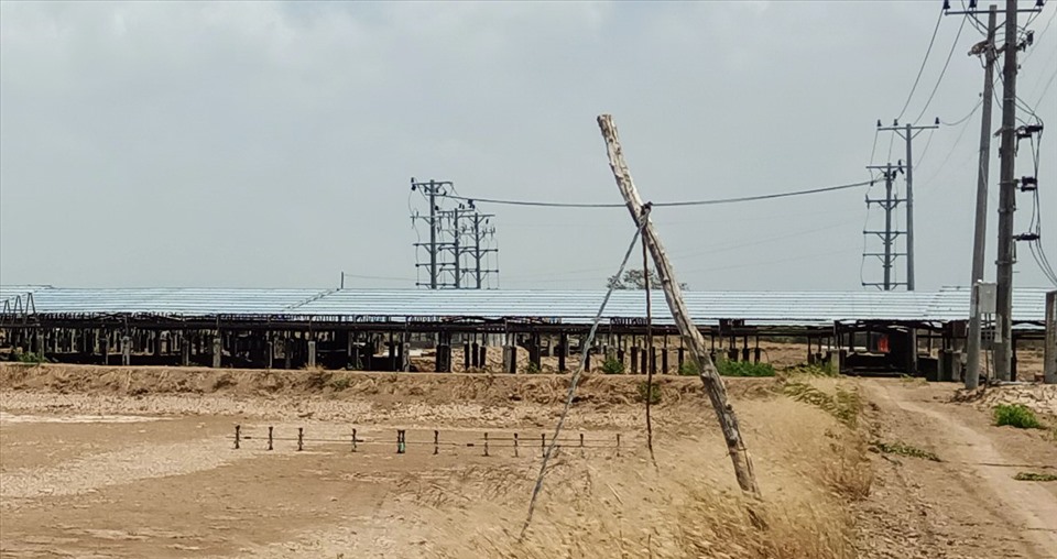 Một trong số các trạm điện mặt trời tại xã Liêu Tú, huyện Trần Đề. Ảnh: TR.L.