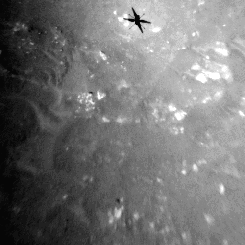Bóng của trực thăng sao Hỏa của NASA do camera điều hướng đen trắng của trực thăng chụp trong chuyến bay ngày 25.4. Ảnh: NASA.