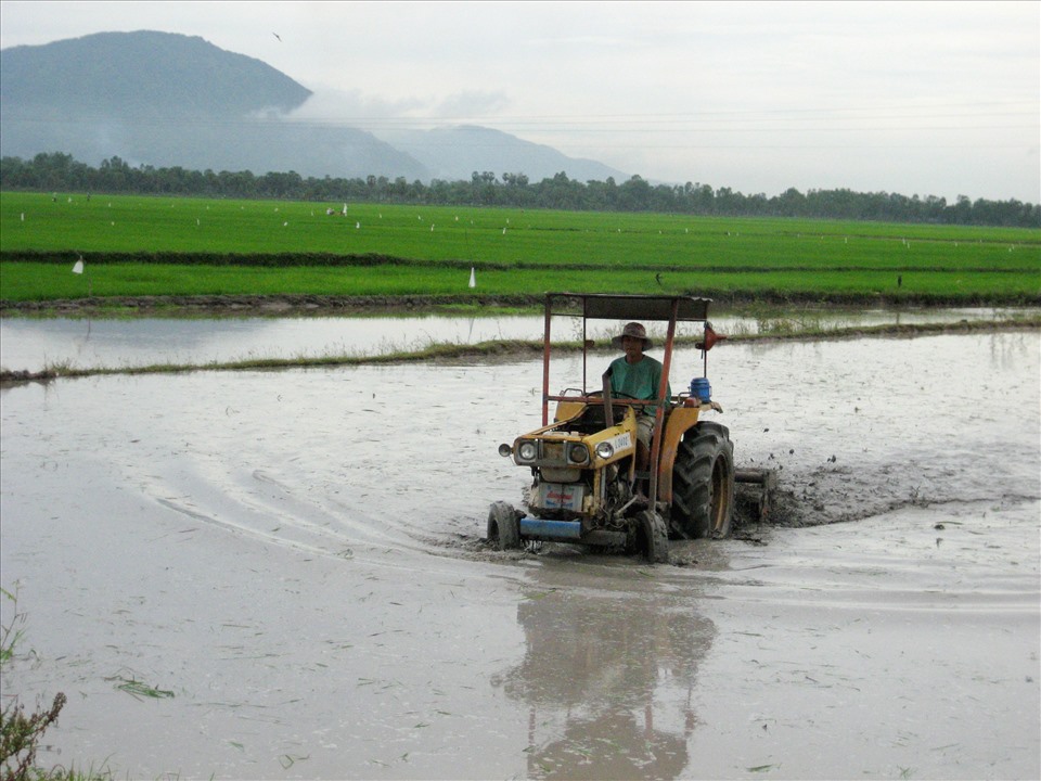 Với địa hình trải dài hạ lưu sông Mekong, ĐBSCL gần như trồng lúa quanh năm. Ảnh: Lục Tùng