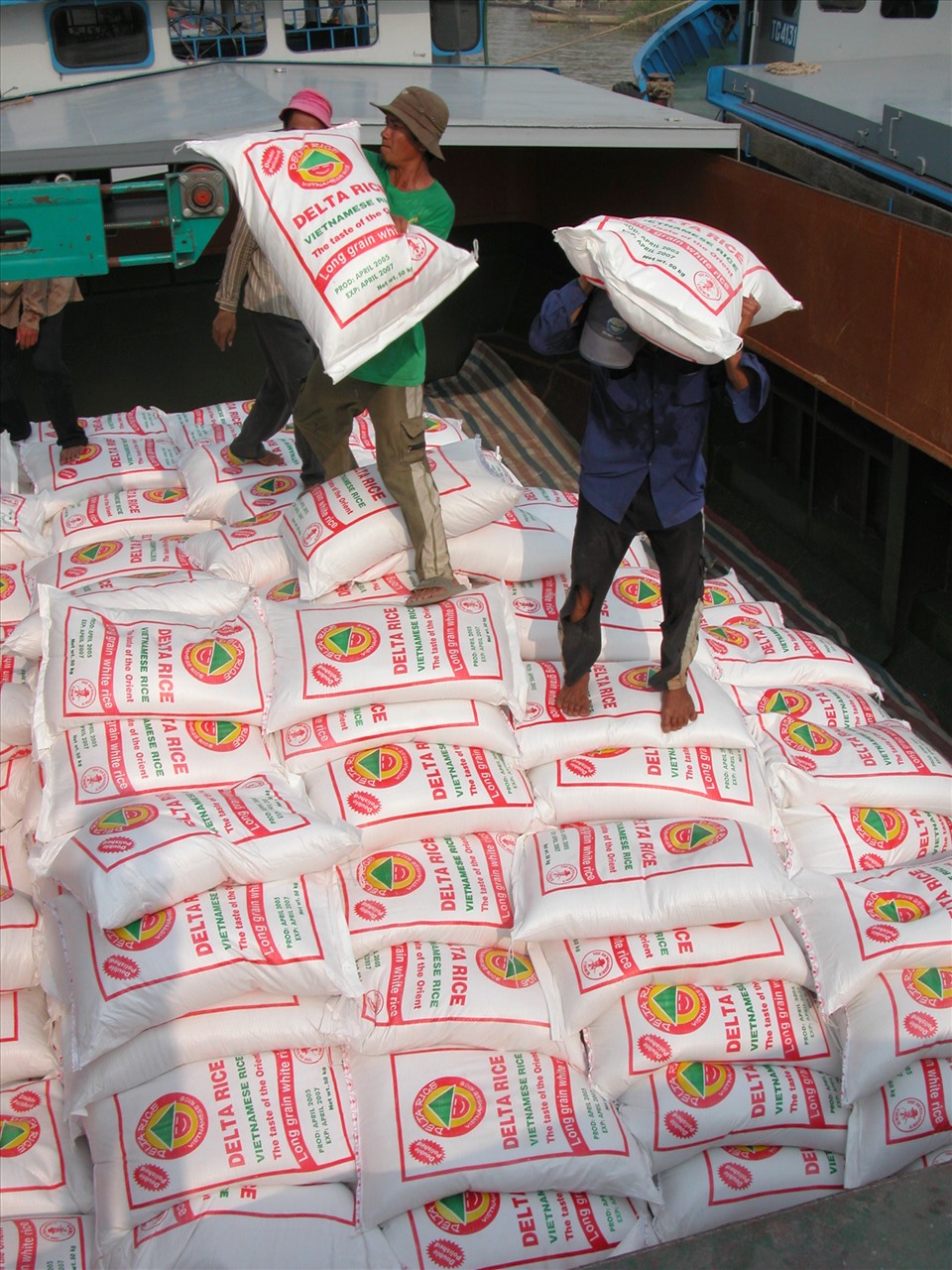 Xuất khẩu lúa gạo ở ĐBSCL. Ảnh: Lục Tùng