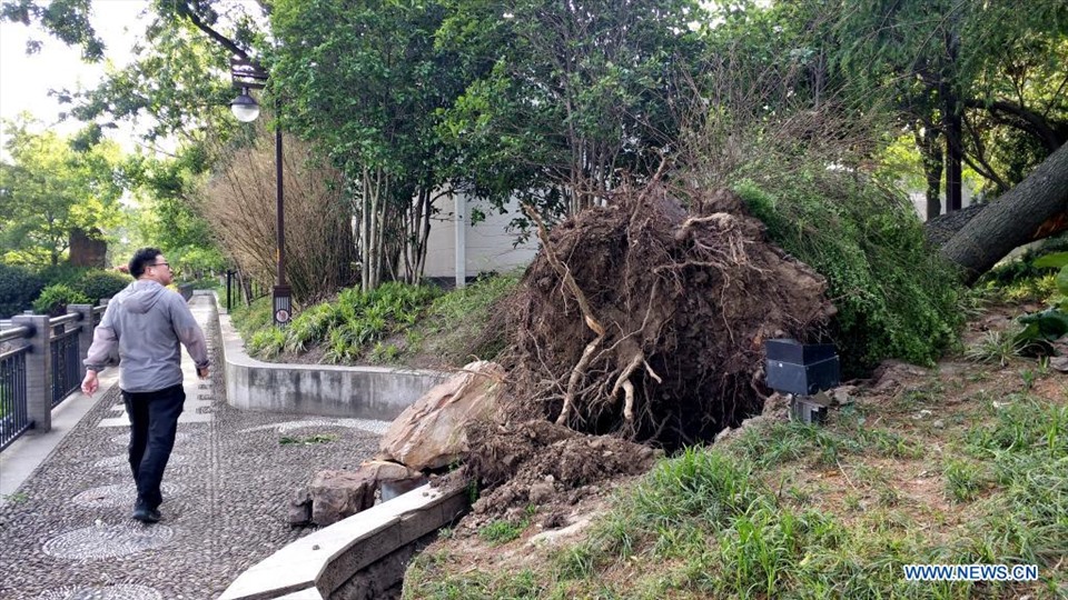 Gió cực mạnh ở Giang Tô gây thiệt hại kinh tế trực tiếp