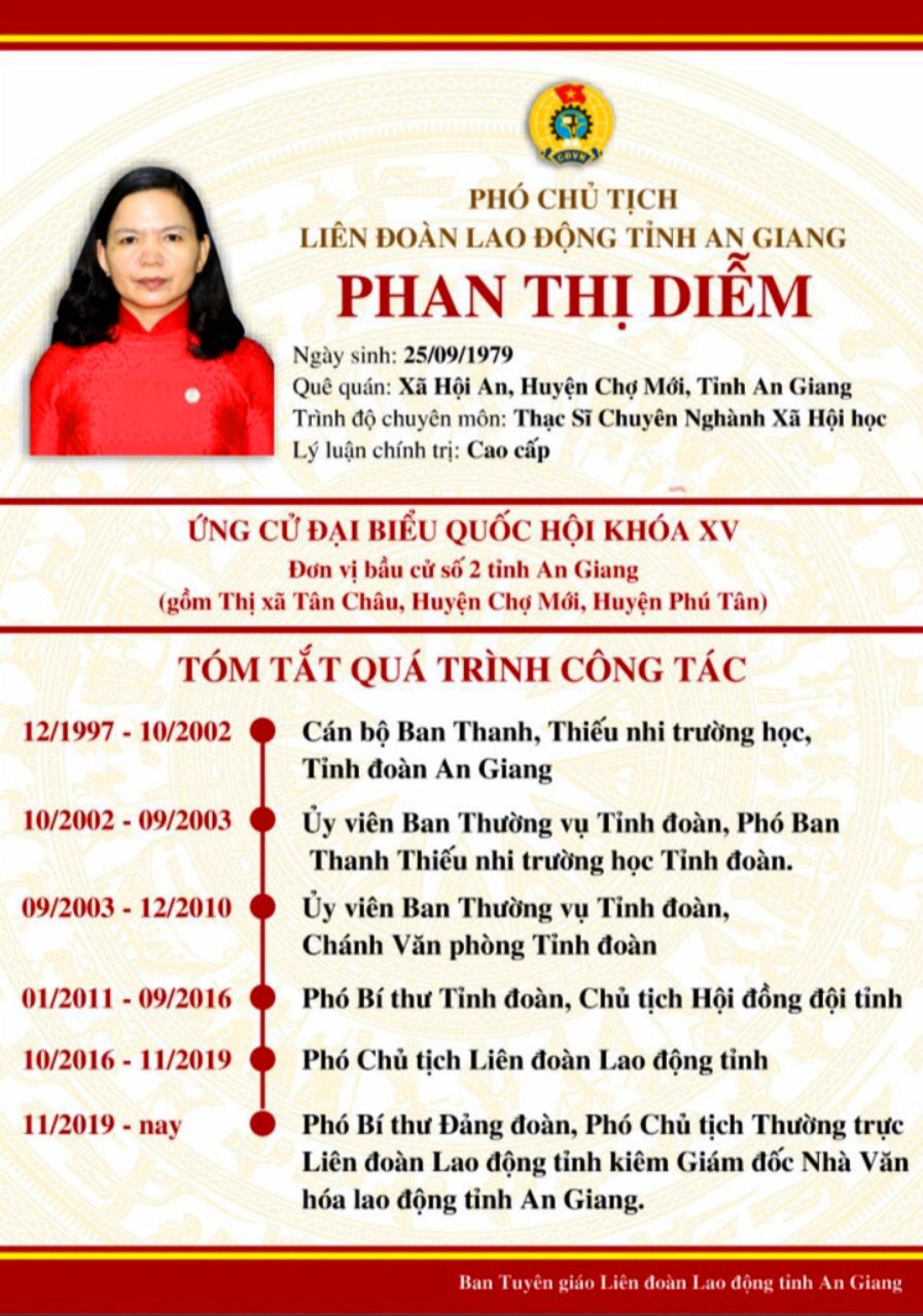 Tóm tắt quá trình hoạt động của ứng cử đại biểu Quốc hội của bà Phan Thị Diễm. Ảnh: LT
