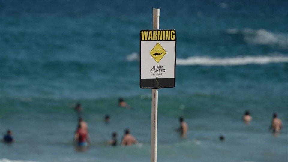 Nhiều người vẫn xuống biển bơi lội bất chấp các biển cảnh báo cá mập trên bãi biển ở thành phố Newcastle, miền bắc New South Wales, Australia. Ảnh: AFP
