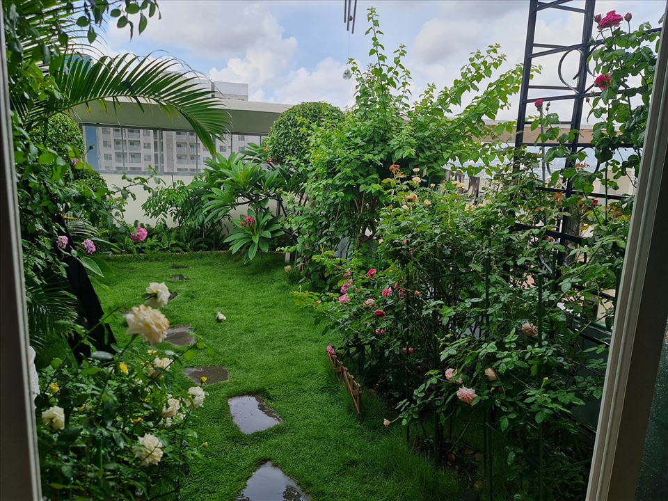 Trầm trồ với vườn hoa hồng lung linh trên sân thượng