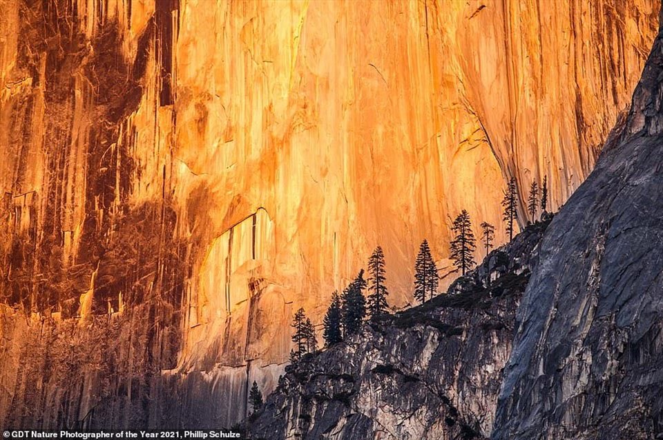 Bức ảnh chụp tại Công viên Quốc gia Yosemite ở California, Mỹ có tựa đề “Trong bóng tối” đã đạt vị trí thứ 2 trong hạng mục “Phong cảnh“.