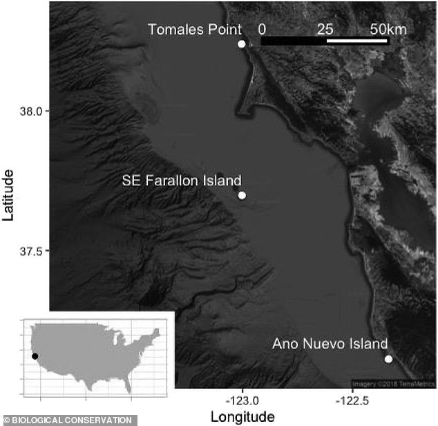 “Tam giác đỏ” là khu vực giữa vịnh Monterey, quần đảo Farallon và vịnh Bodega. Ảnh: Đại học bang Orengon