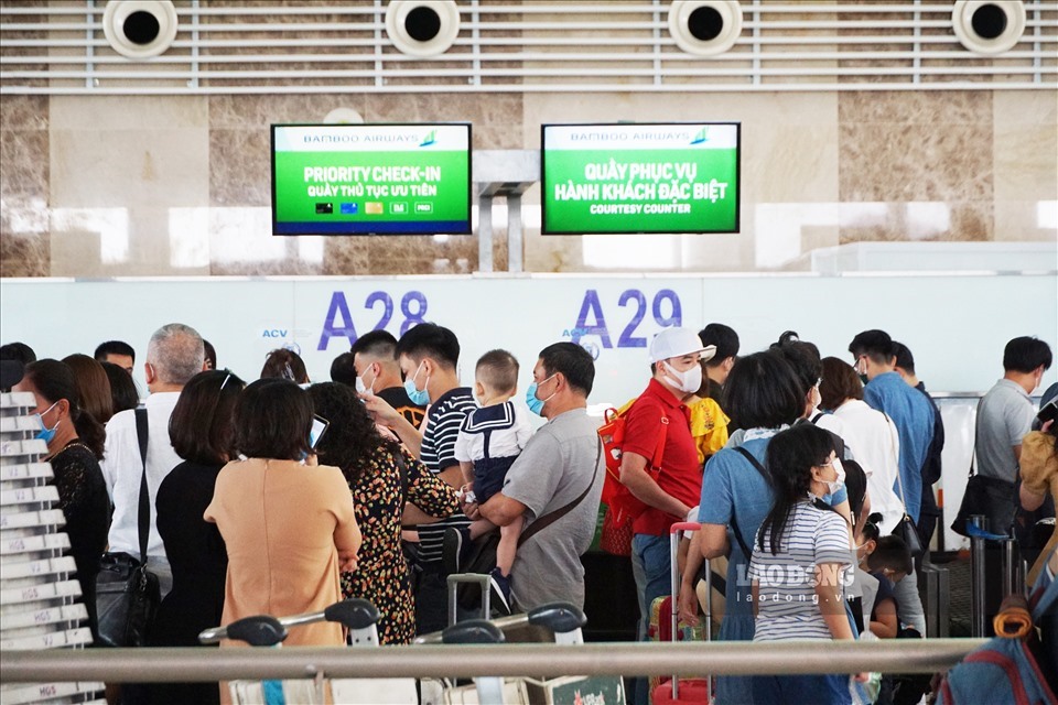 Nhiều hãng hàng không đồng loạt giảm giá vé máy bay vào tháng 6.
