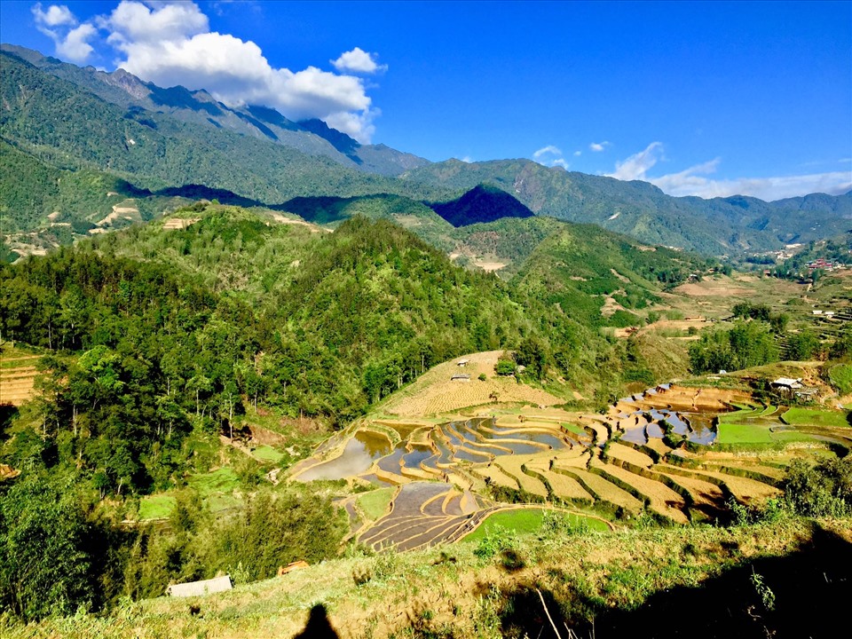 Đặc biệt đi du lịch Sapa vào mùa hè du khách sẽ được chiêm ngưỡng những thung lũng hoa nở tuyệt đẹp và những thửa ruộng bậc thang lúa xanh mướt.