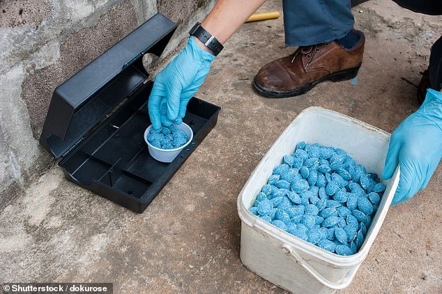 Chính quyền NSW cho biết sẽ cung cấp miễn phí 5.000 lít chất độc bromadiolone để tiêu diệt những con chuột. Nhưng chất độc này được cho là quá độc hại và sẽ ảnh hưởng đến môi trường xung quanh. Ảnh: NSW government