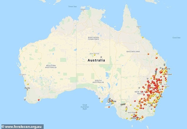 Bản đồ báo động về mức độ hủy diệt của nạn “dịch chuột“. Ảnh: Australia government
