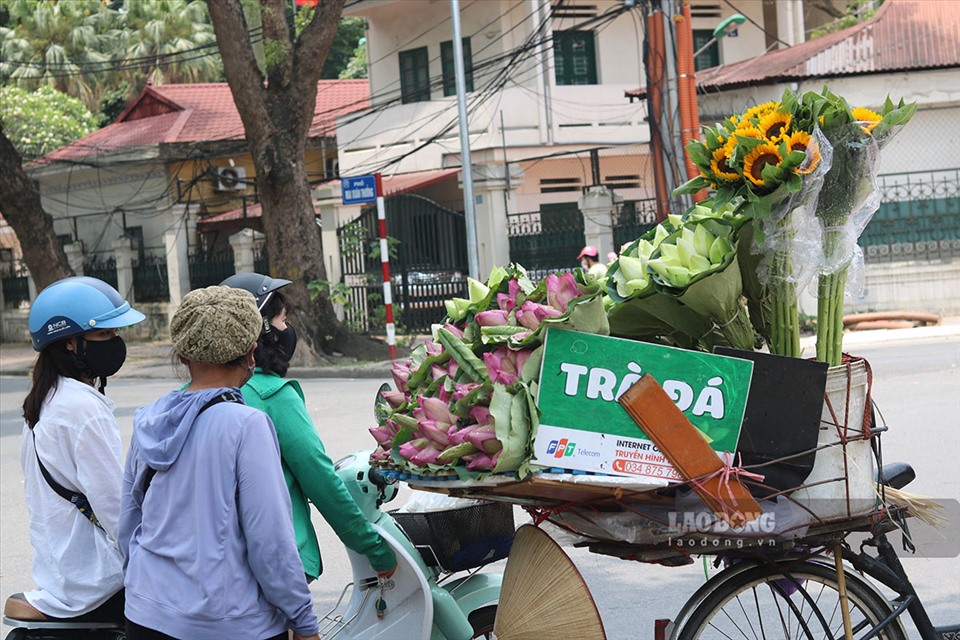 Với nhiều người Hà Nội, một lọ hoa sen cắm trong nhà là điều không thể thiếu mỗi mùa sen về. Hương thơm thoang thoảng nhẹ nhàng của loài hoa tháng 6 này đã níu bước chân bao người qua đường.