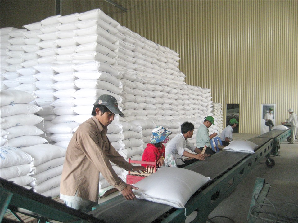 Vì thế khi xuất khẩu, gạo Việt chất lượng không đồng đều. Ảnh: Lục Tùng
