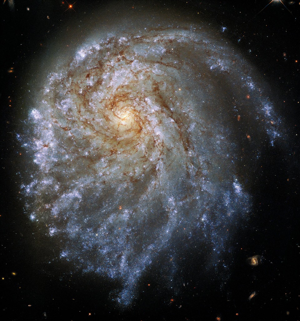 Thiên hà xoắn ốc NGC 2276 bị biến dạng trong bức ảnh của kính thiên văn Hubble. Ảnh: NASA
