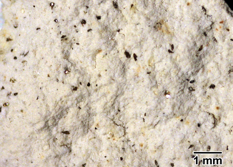 Tro núi lửa, một loại đá rất nhẹ, bao gồm các khoáng chất silicat giàu nitơ (màu trắng) và các tinh thể mica sẫm màu. Ảnh: Đại học Goettingen