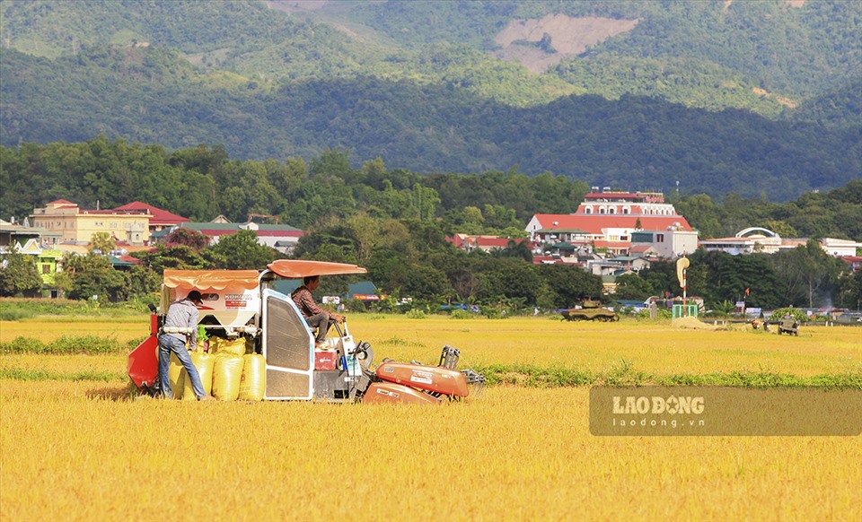 Điều đó đã giúp cho nhiều nông dân được giải phóng sức lao động, từ đó phát triển thêm nhiều ngành nghề, trong đó có các hoạt động về du lịch - một trong những hướng đi triển vọng của địa phương.